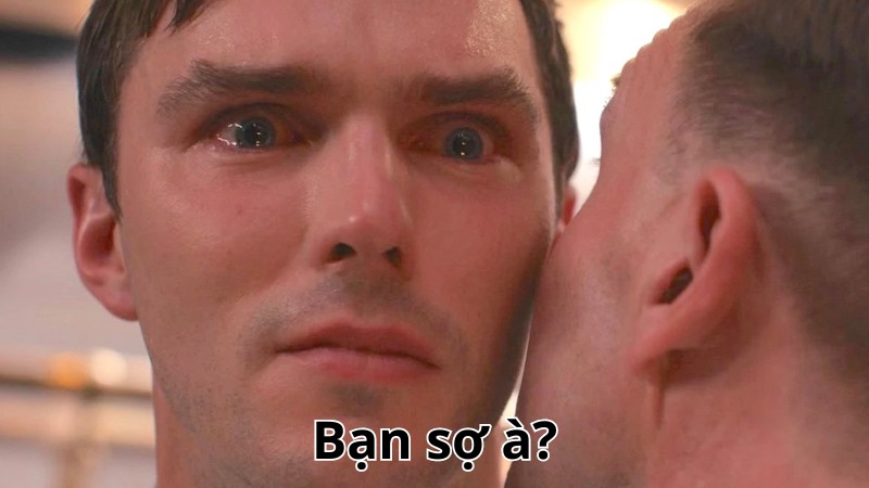 Bạn có sợ hình ảnh meme không?