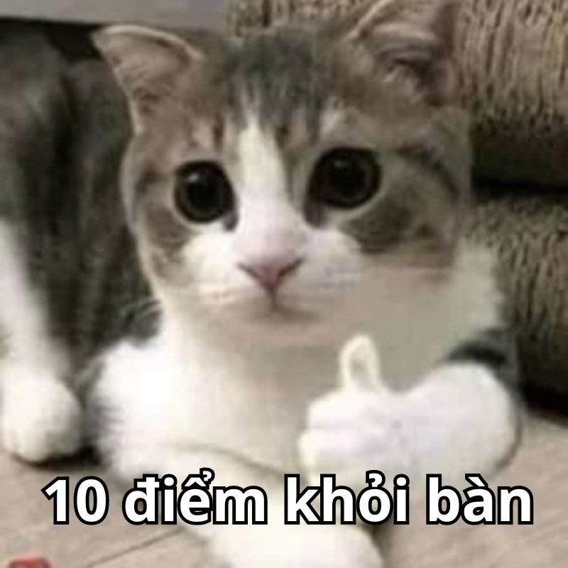 meme mèo 10 đồng