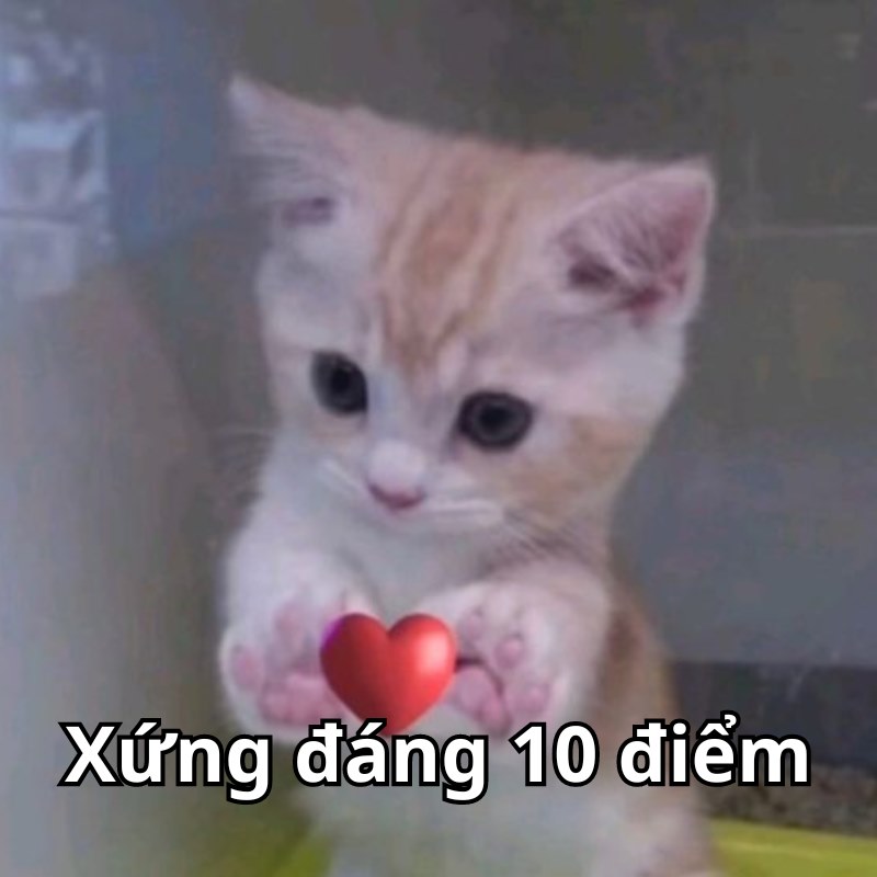 Meme xứng đáng được 10 điểm