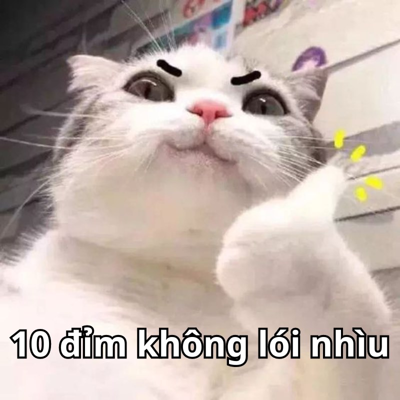 meme 10d không nói nhiều