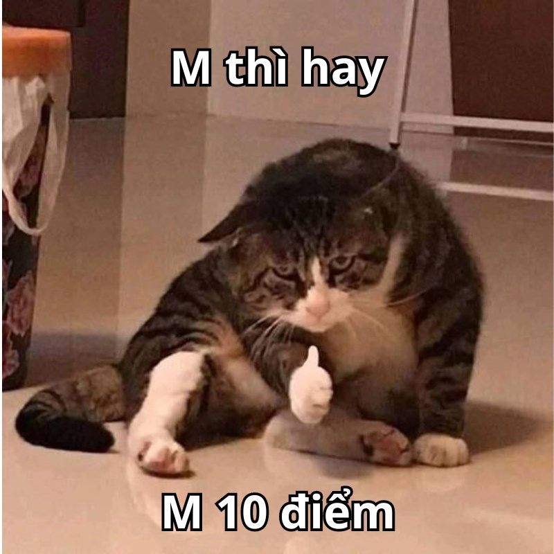 meme m giỏi m 10 điểm