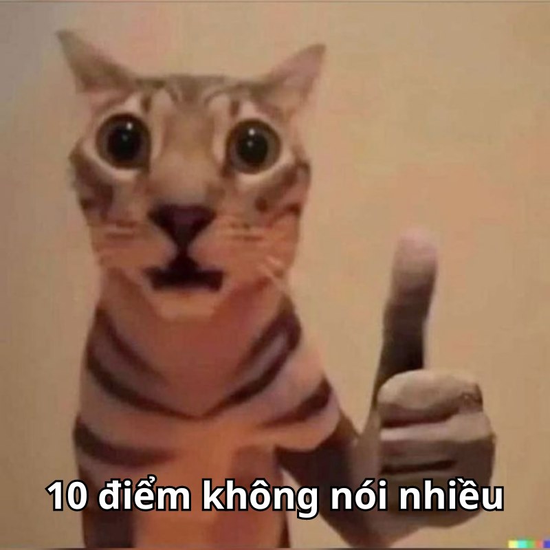 Meme 10d hài ​​hước