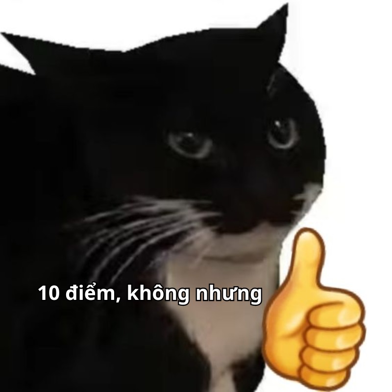 Ảnh 10 điểm không có nhưng meme