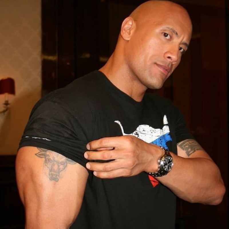 Meme Johnson Dwayne The Rock