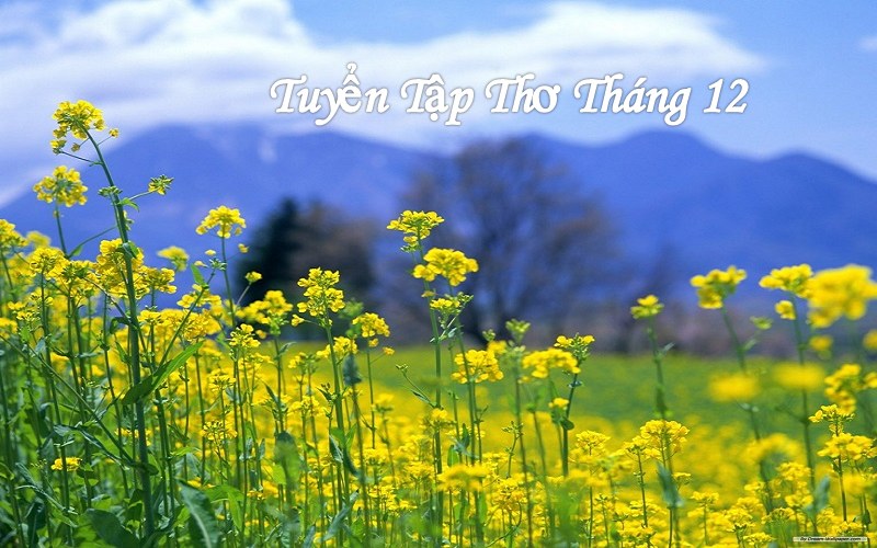 Thơ tháng 12