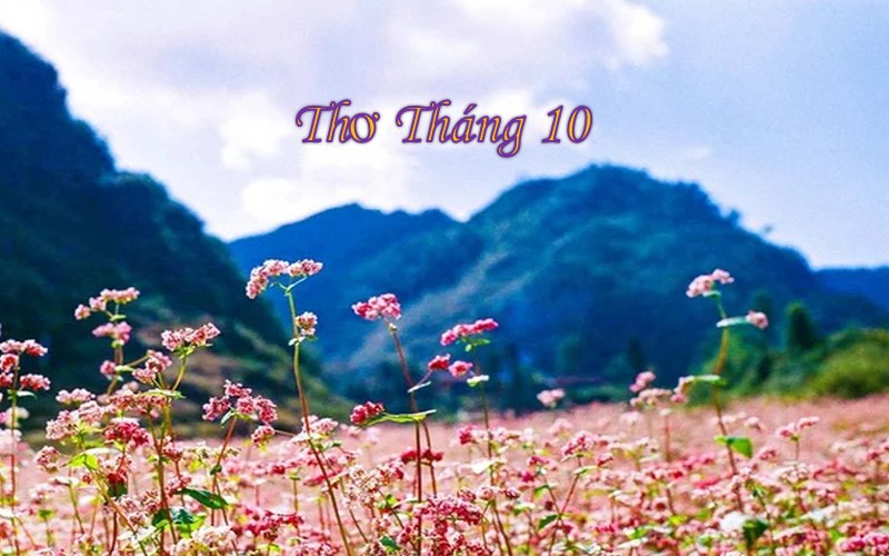 Thơ tháng 10