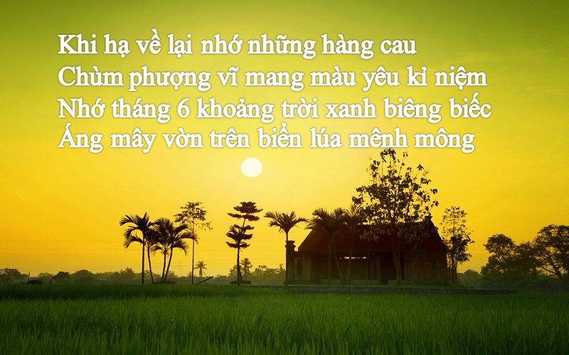 Chùm thơ tháng 6