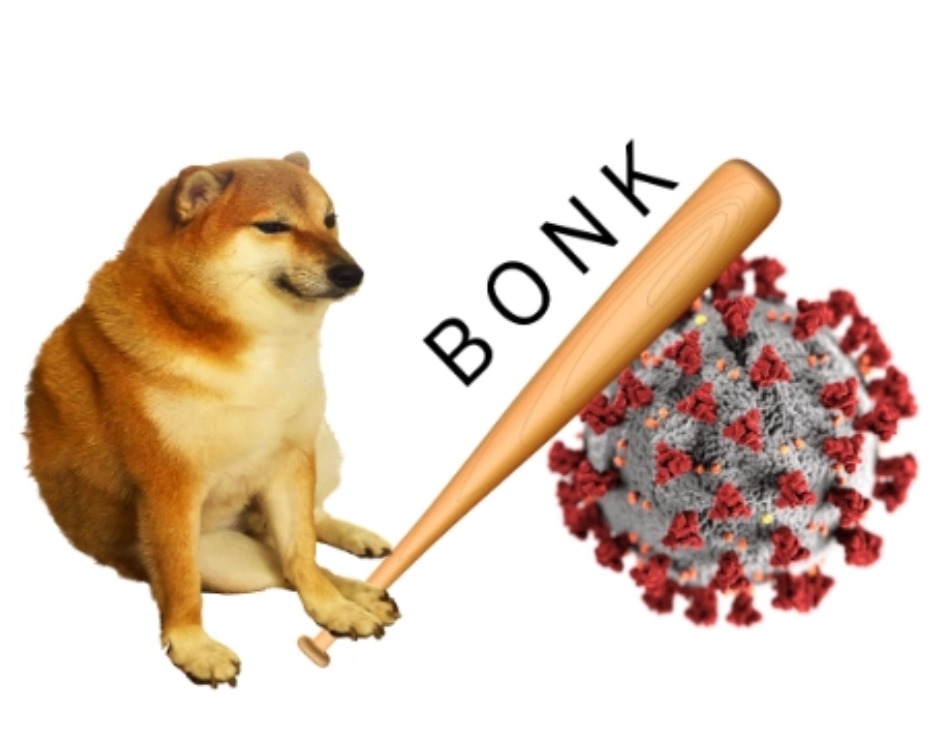 Meme Cheems bonk Covid