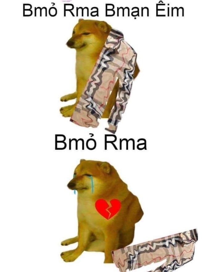 Meme Cheems bỏ ra bạn êi