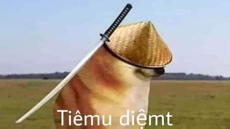 Meme Cheems tiêu diệt