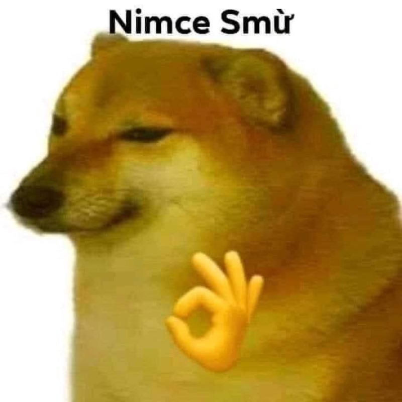 Meme Cheems nice sừ