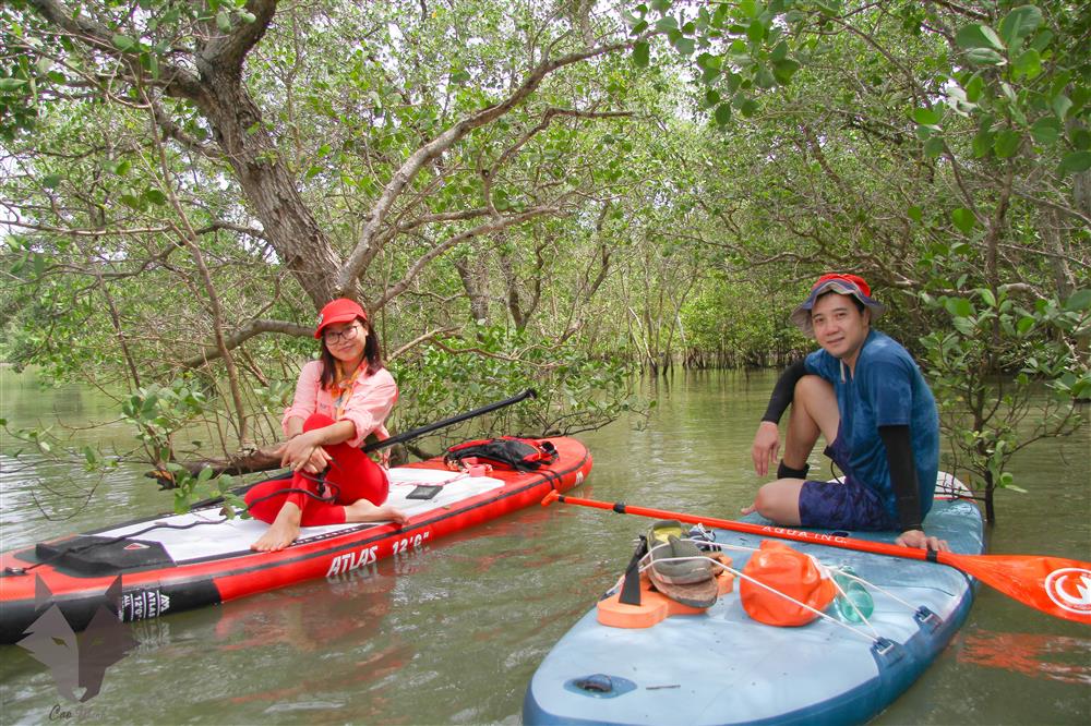 Chèo sup khám phá Cần Giờ