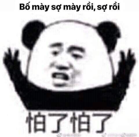 Meme gấu trúc sợ hãi