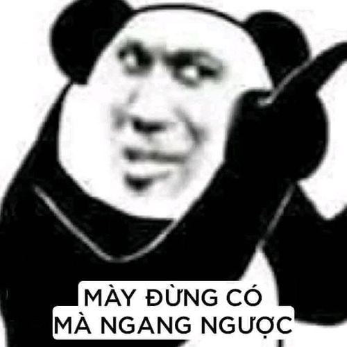 meme gấu trung quốc