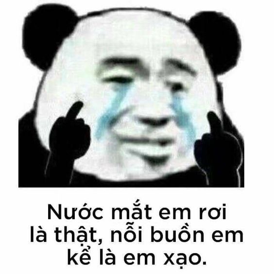 Meme gấu trúc nói dối