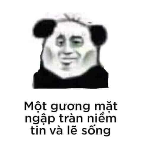 Meme gấu trúc bị hủy hoại