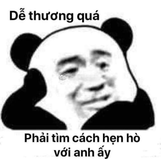 Panda yêu con trai meme