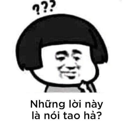 meme gấu trúc ngu ngốc