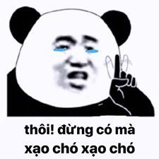 meme gấu trúc đẫm nước mắt