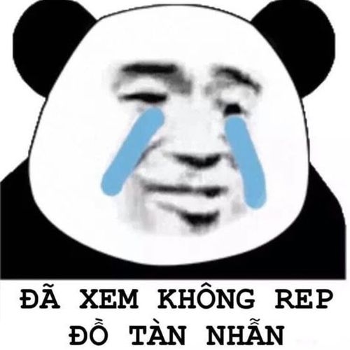 meme gấu trúc mắt đen