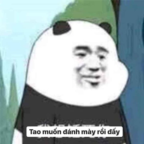 meme ảnh gấu trúc đình đám