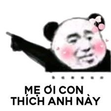 ảnh meme tình yêu gấu trúc