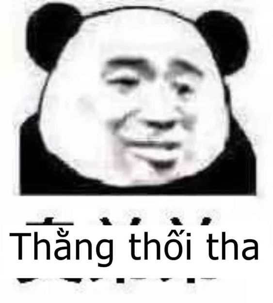 meme chửi rủa ảnh gấu trúc