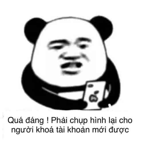 ảnh chụp màn hình meme gấu trúc