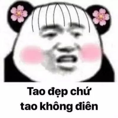 tạm biệt gấu trúc meme