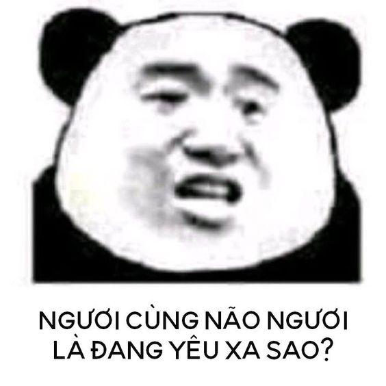 Meme gấu trúc hài hước