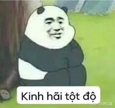 Meme gấu trúc sợ hãi