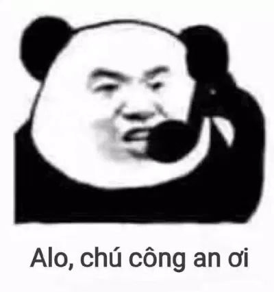 Meme gấu trúc ngốc nghếch