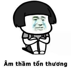 meme gấu trúc bị tổn thương