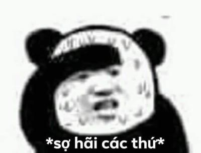 Meme mặt troll gấu trúc