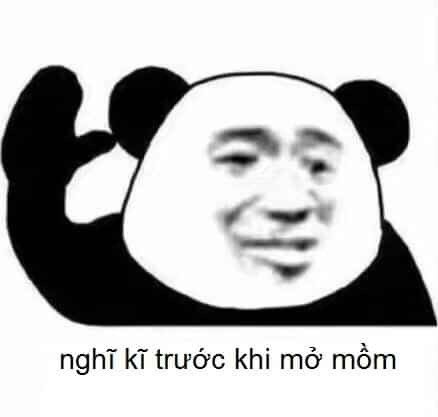 Meme hình gấu trúc