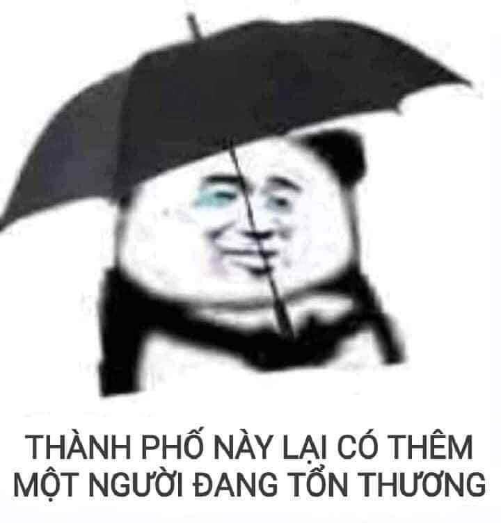 Gấu trúc thức khuya meme