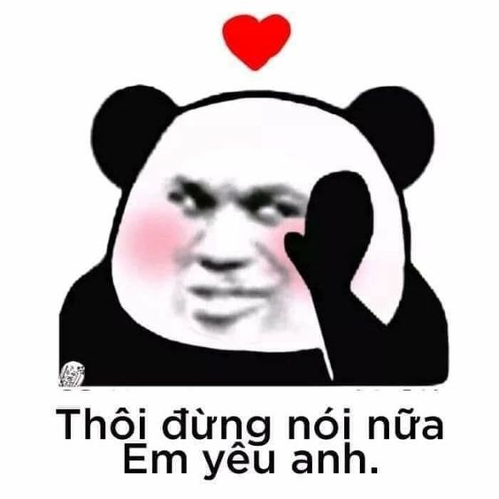 meme yêu gấu trúc