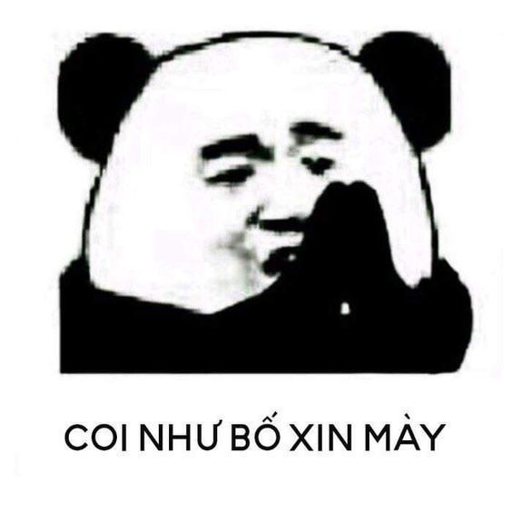 meme gấu trúc cầu xin