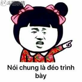 meme gấu trúc được trình bày