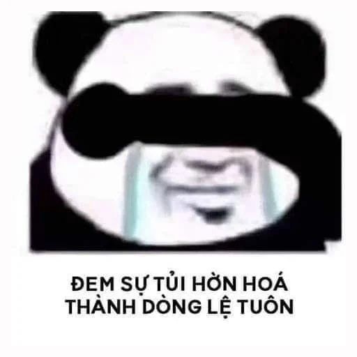 Meme gấu trúc tự thương hại