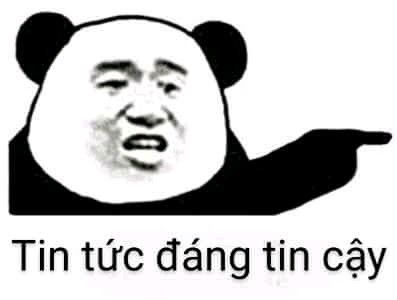 Những meme gấu trúc đáng tin cậy