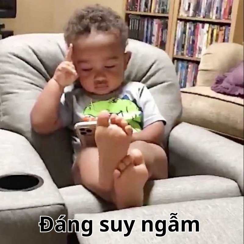 phản ánh meme hài hước