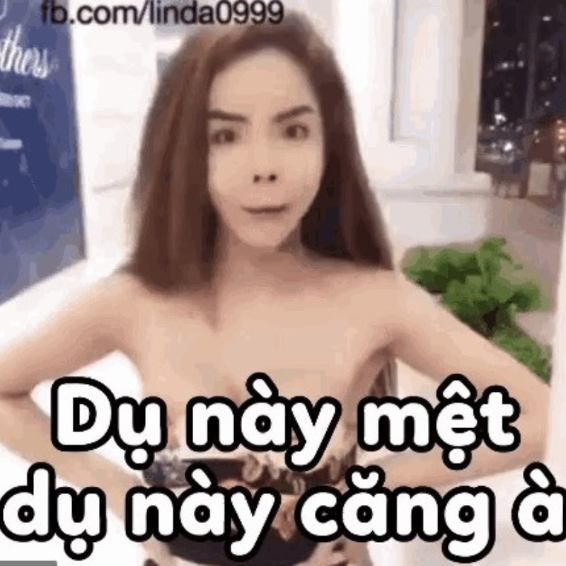 Meme Linda chửi bới