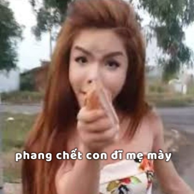 Linda gạch ống meme