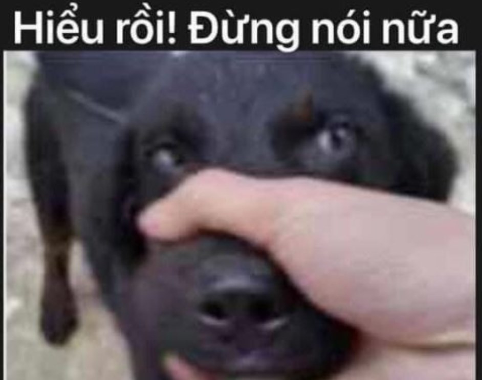 meme đừng nói nữa