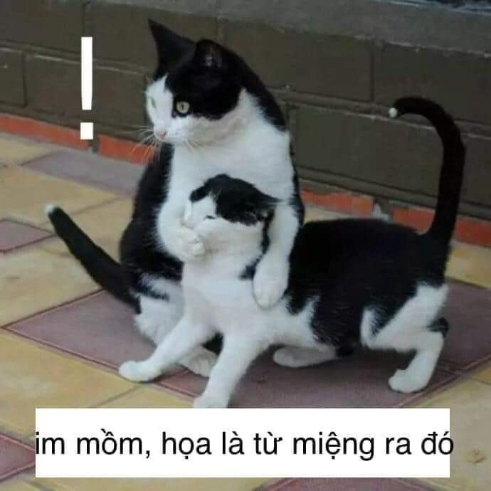 meme bạn im đi