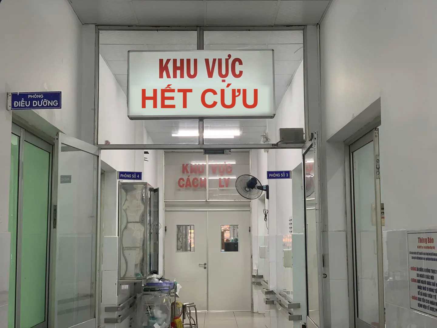 các mem cứu tôi với