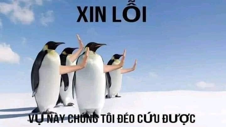 meme giải cứu