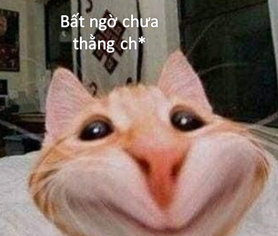 Ngạc nhiên chưa, anh bạn?