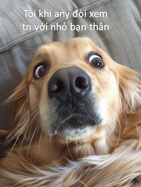 Không có meme nào đáng ngạc nhiên